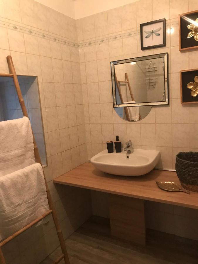Appartement Cosy Le Safari Avec Wifi 阿诺奈 外观 照片